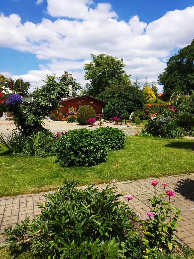 Ubytovani Poustka Františkovy Lázně Exteriör bild